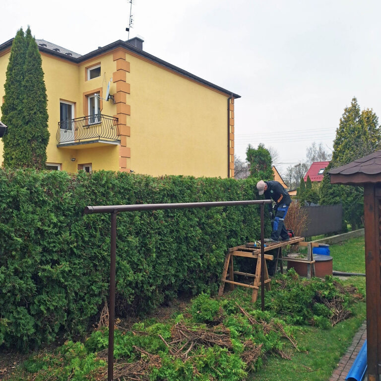 przycinanie żyopłotu