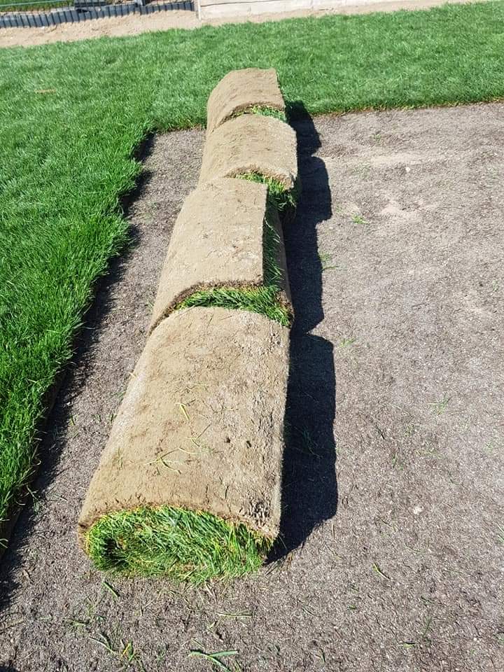 Rozkładanie trawnika z rolki